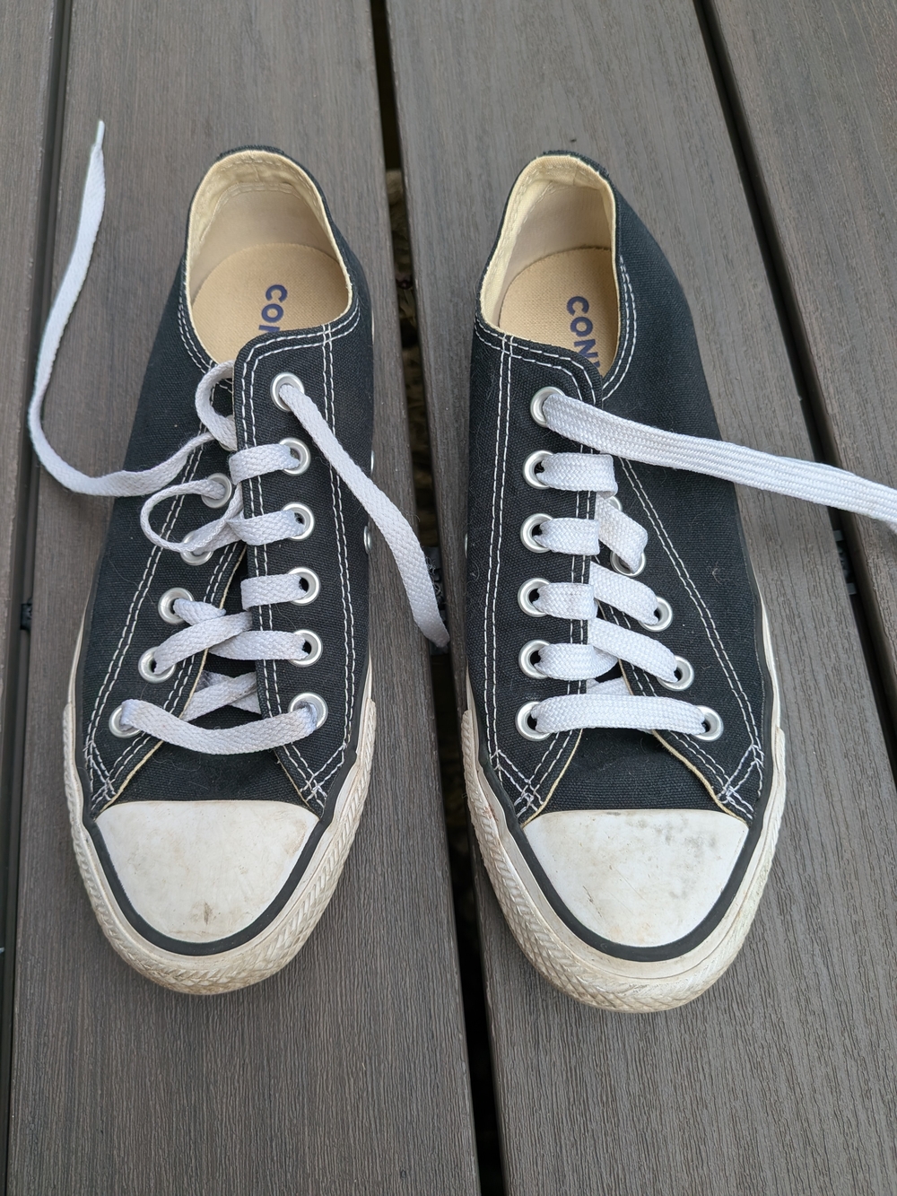 Converse Black Canvas Low Top Sneakers with White Laces
